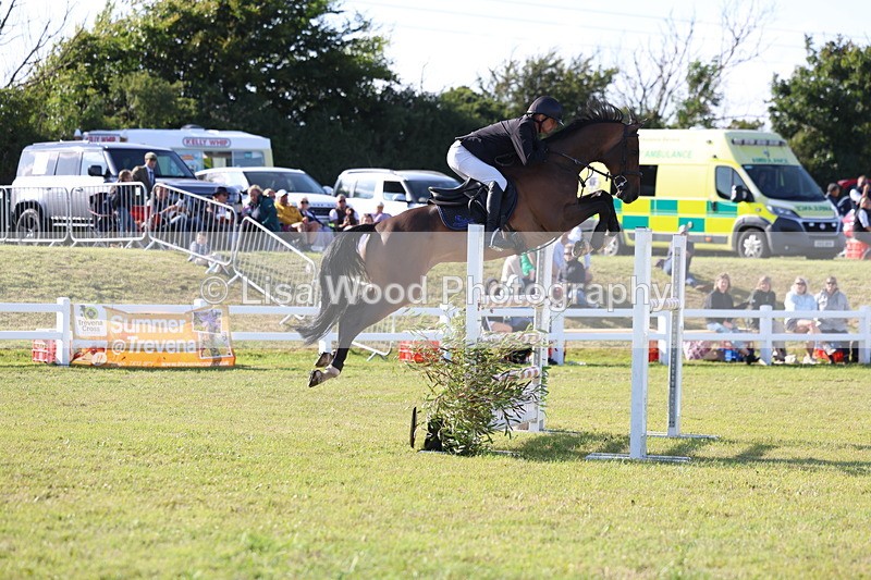 3E7A4330 - Class C: Showjumping Senior Foxhunter