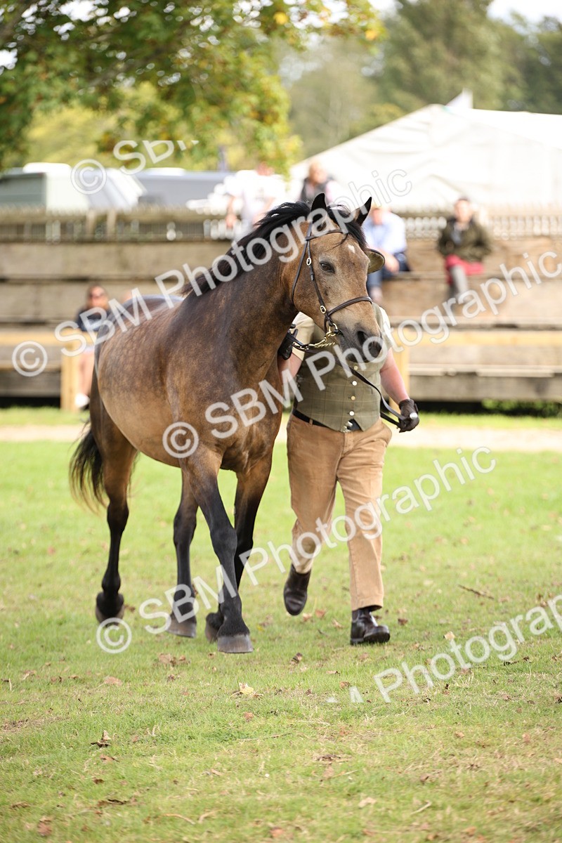 SBM_44480 - S24 - Young Veteran in hand
