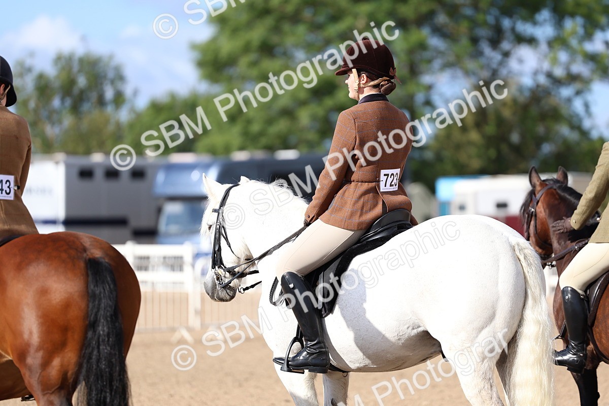 SBM_08950 - Class 302 - Ridden M&M - Large Breeds