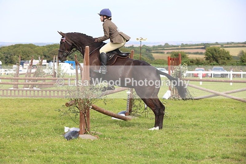 JPP_4212 - Class 25: Working Show Horse