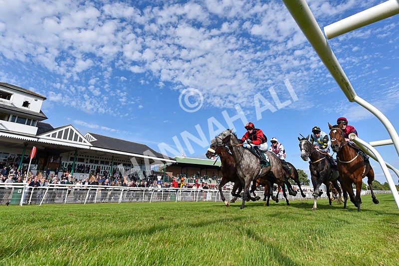 100625-Race 3-Stellarmasterpiece-4098 - Race 3