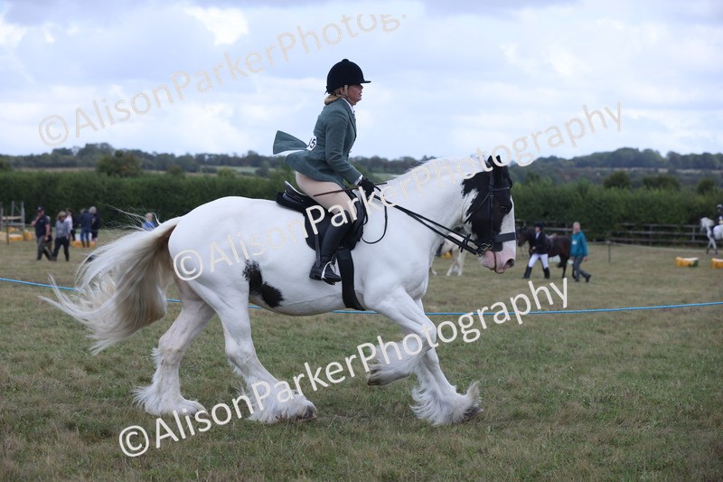 20250831-4253 - Class 20 - Ridden Coloured