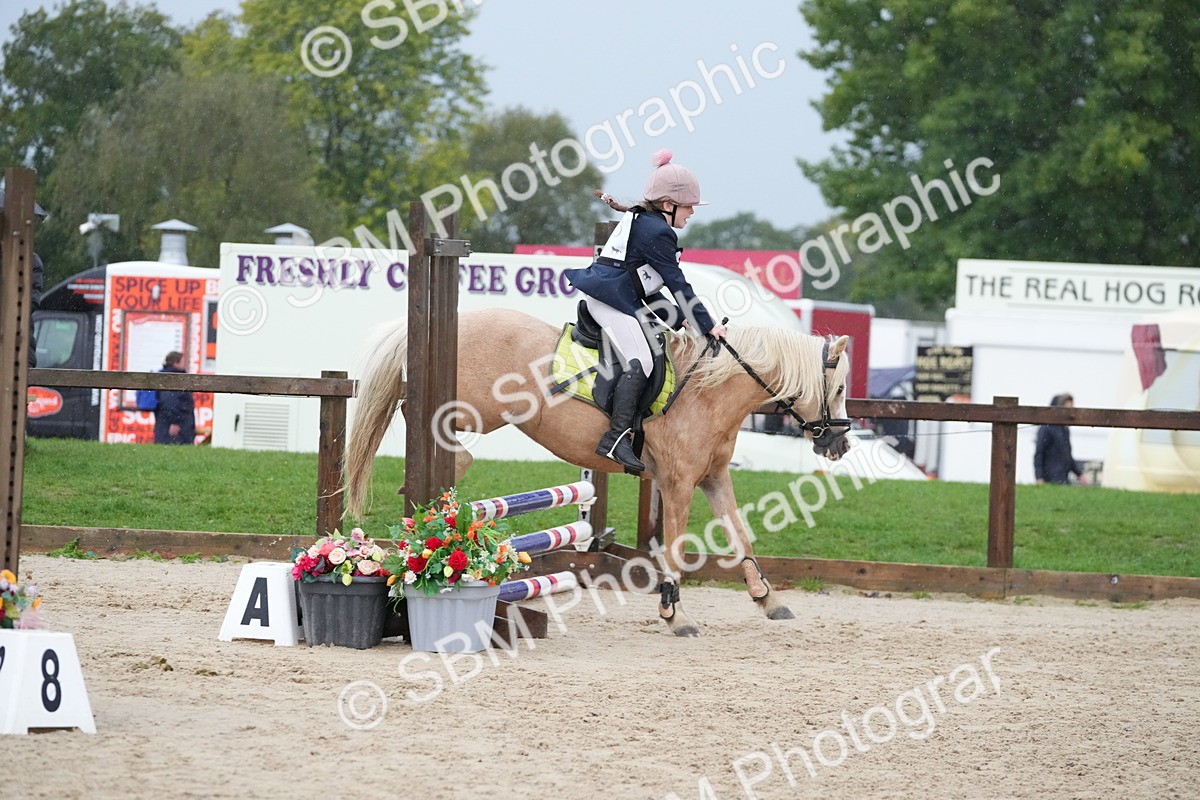 SBM_33876 - J5 - Junior Pony 50cm Championship