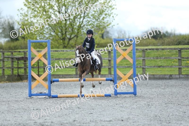 20260412-1741 - Show Jumping