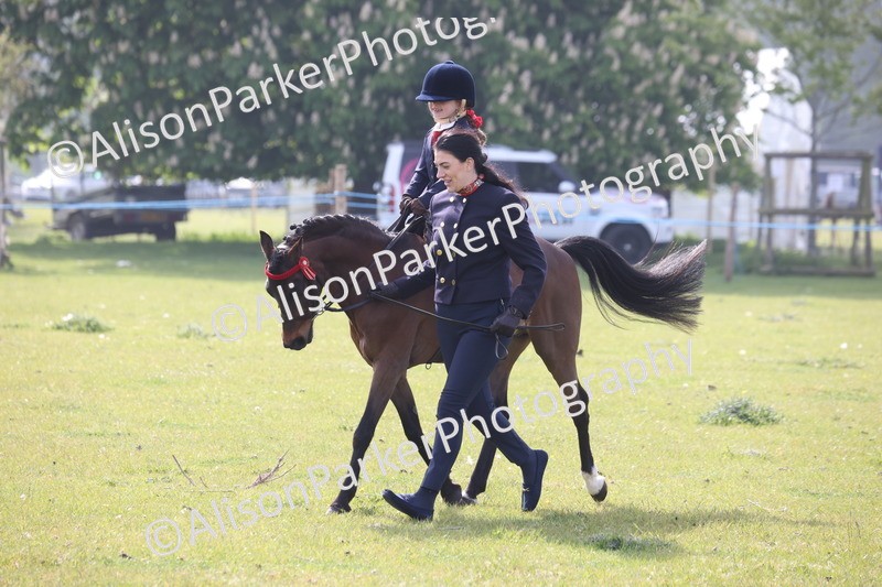 20260426-0366 - Class 30 - Tiny Tots Lead Rein