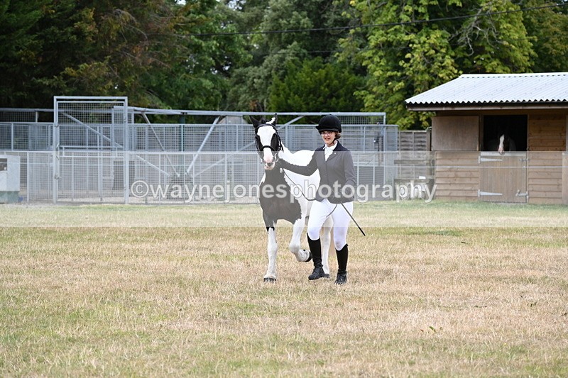 WJ6_4245 - Class 10 Coloured In-hand