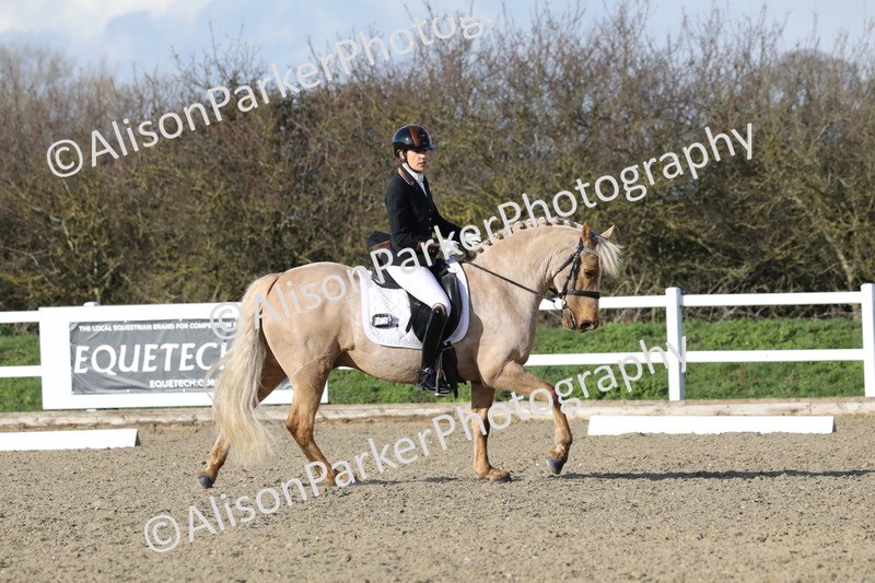 20260314-5813 - DR 7 - Elementary 1