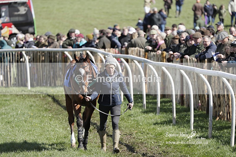 PtP 100423 477 - Old Berkshire Point-to-Point Lockinge 10/04/23