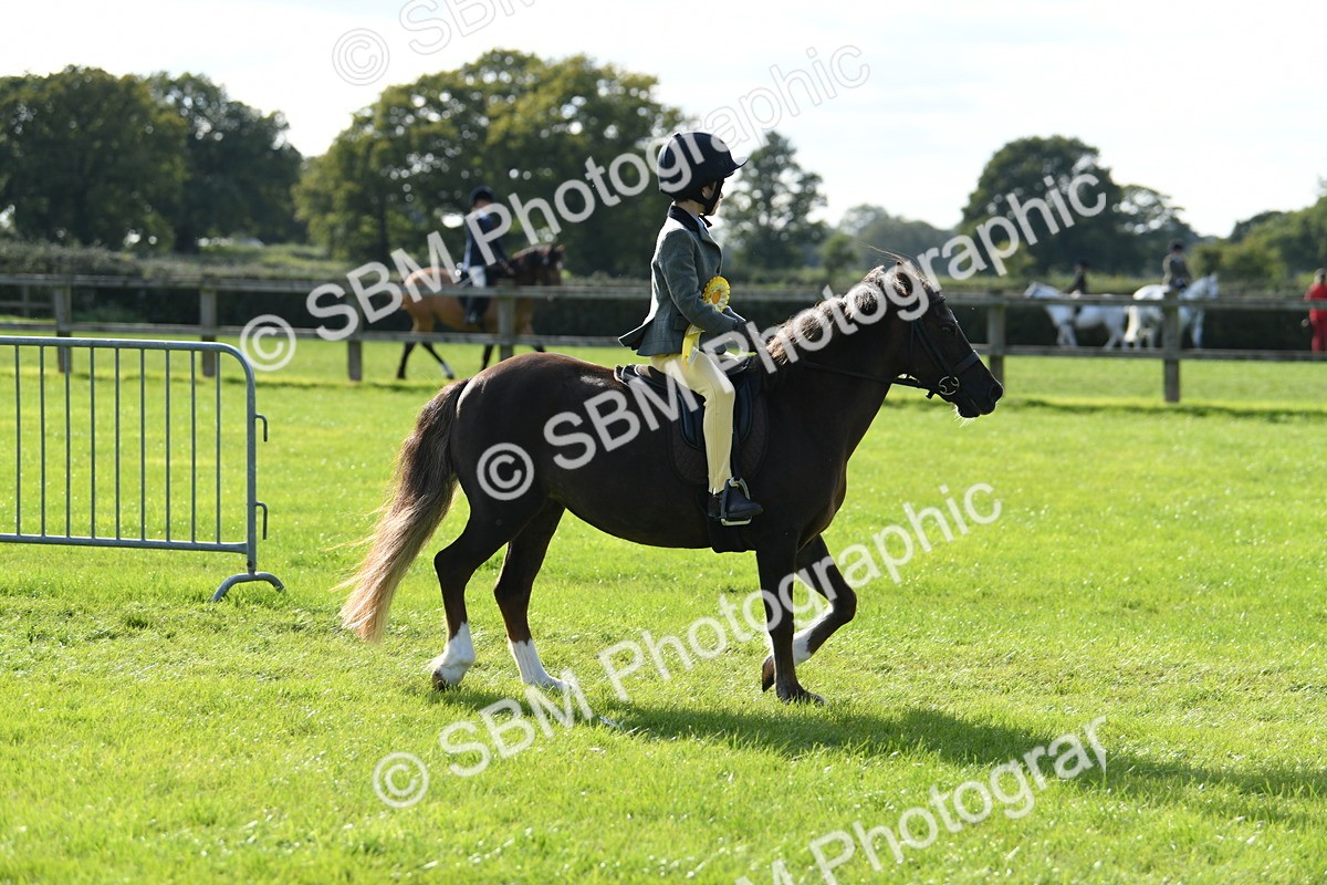 SBM_50538 - S21 - Novice & Newcomers 1st Ridden Pony