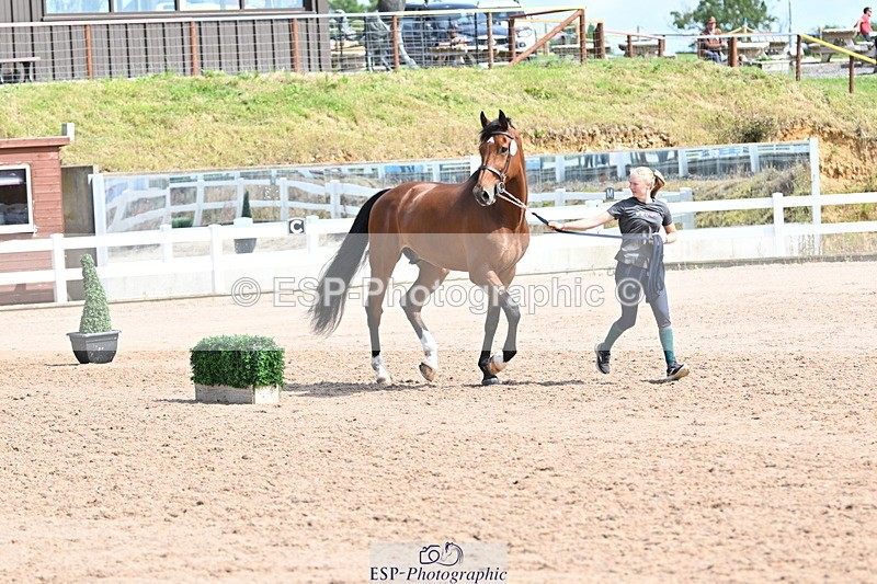 240717A-155228-03122 - Trot Up 3pm to 4pm