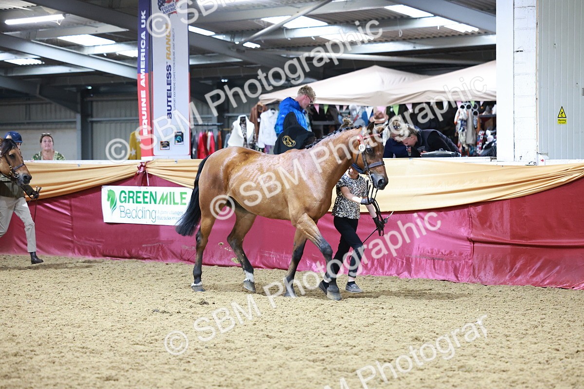 SBM_20001 - Class B - Junior Champ 11yr to 16 Years