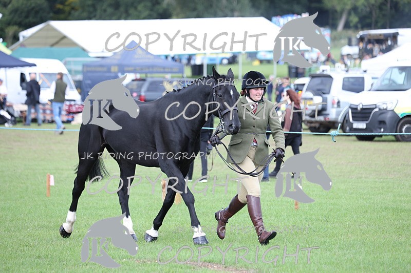 APP_2619 - Class 9 Veterans in hand