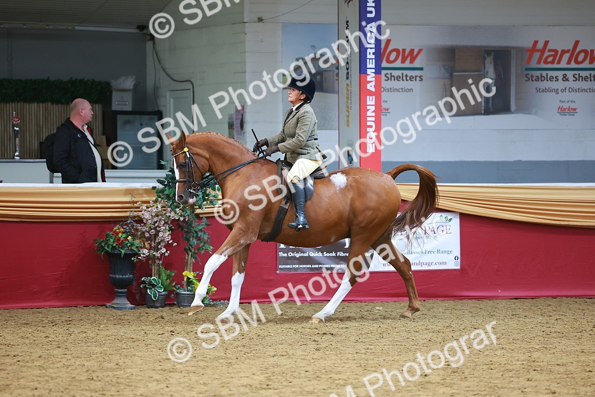 SBM_06092 - Class 12R - Ridden Pre-Vet