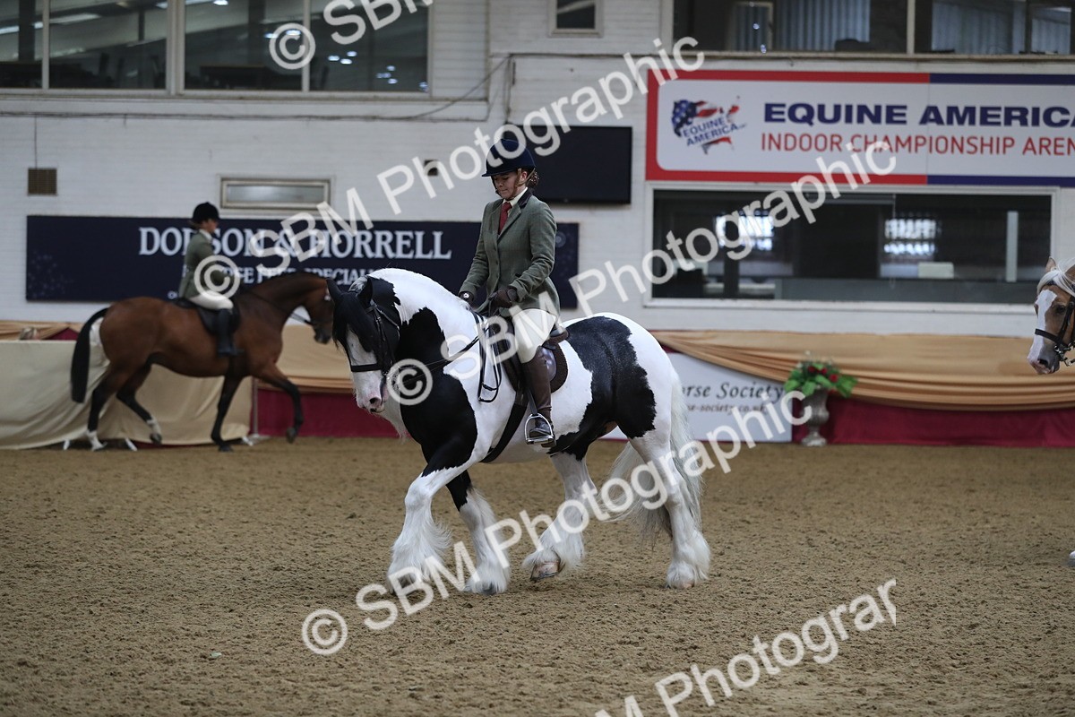 SBM_10409 - Class 102 Equitation (best rider) Adult