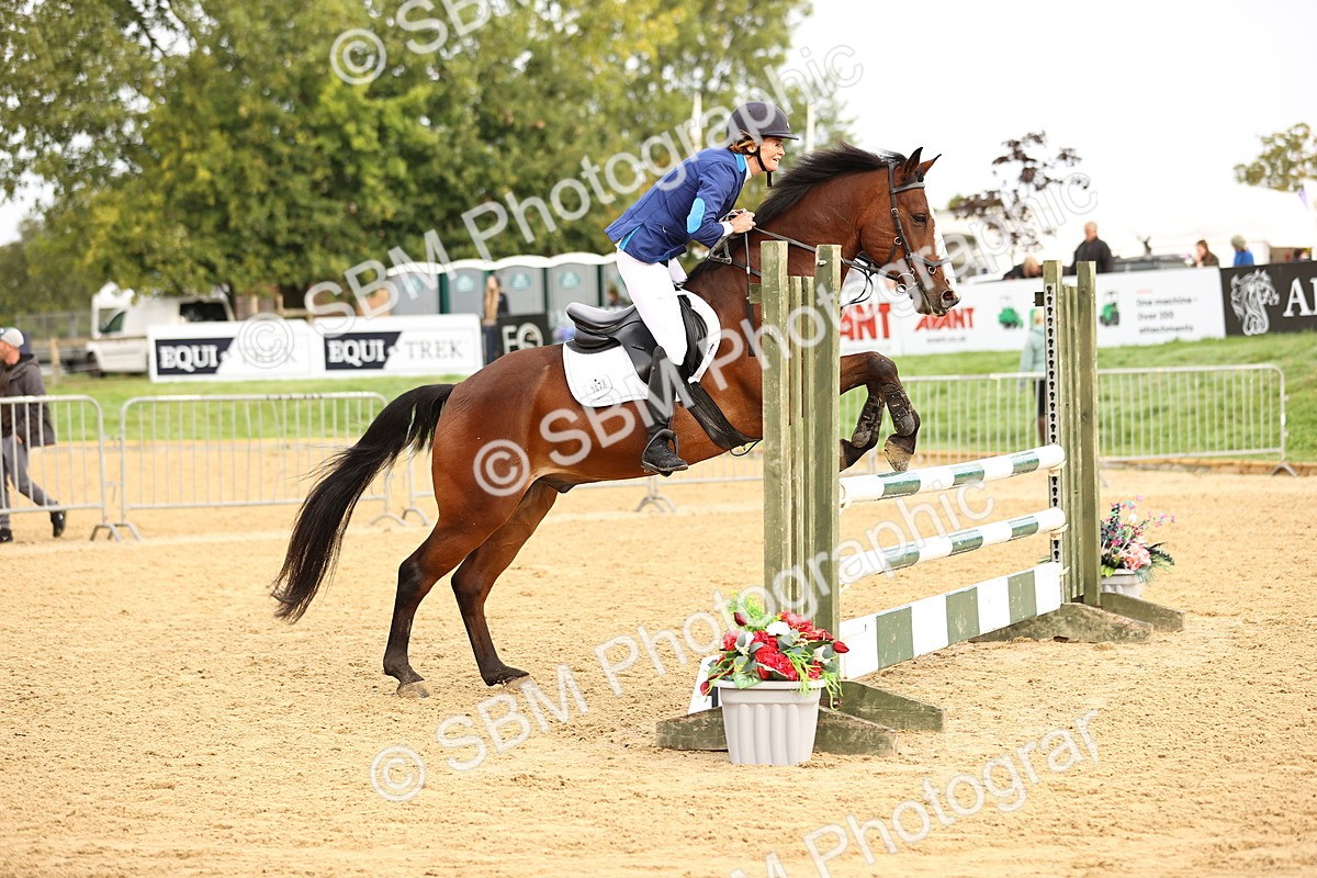 SBM_58243 - J41 - Grand Tour Horse & Pony 95cm