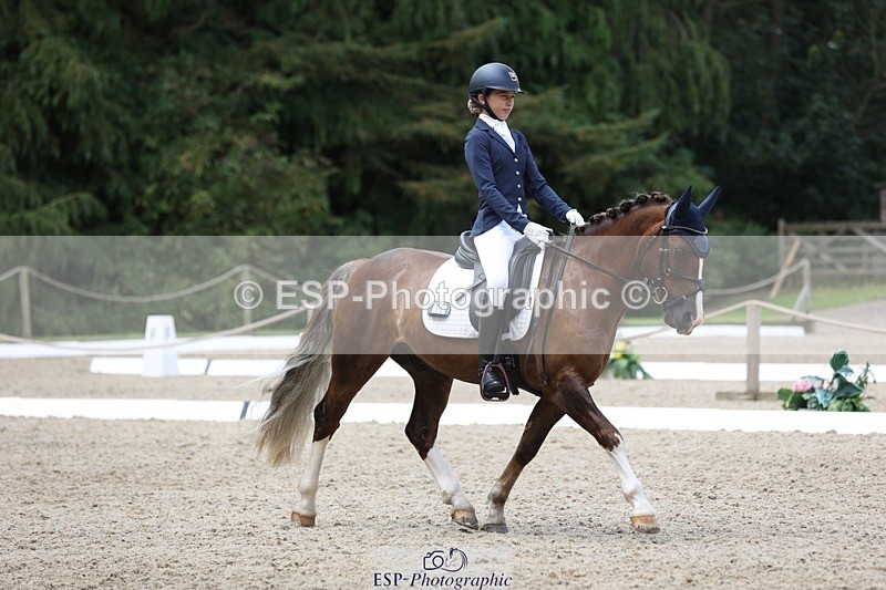 230812-115925-03896 - Cls 5 Novice Bronze 11.15 to 12.50 break