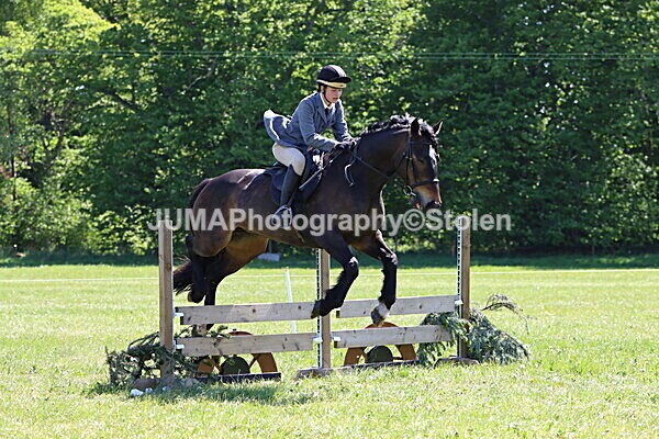 IMG_4032 - Working Hunter
