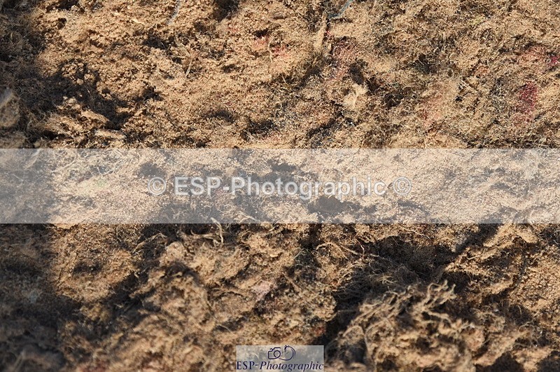 230915A-094504-00068 - Cls 8 85cm Amateur Qualifier