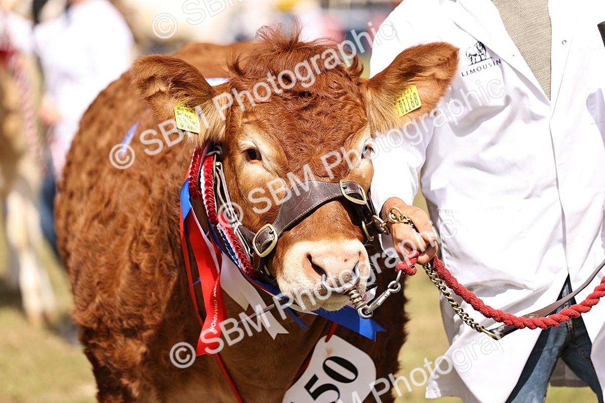 SBM_16936 - Grand Parade