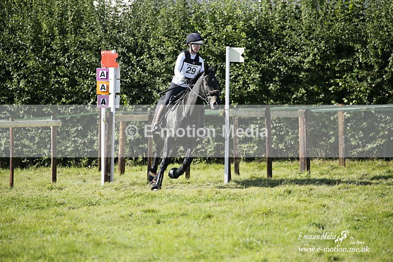  WWHT 031021 1527 - Open Novice (0.80m) 03/10/21