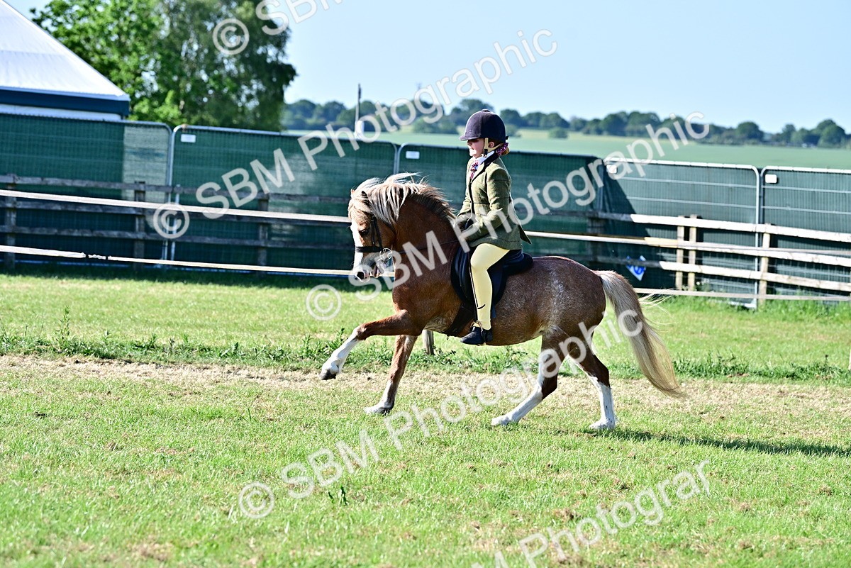 SBM_19858 - Class 103 - 105 - TSR Ridden Amateur of the Year Plaited Ponies