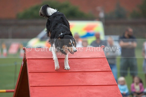  - Tendring Agility Group- St Osyth Summer Fete