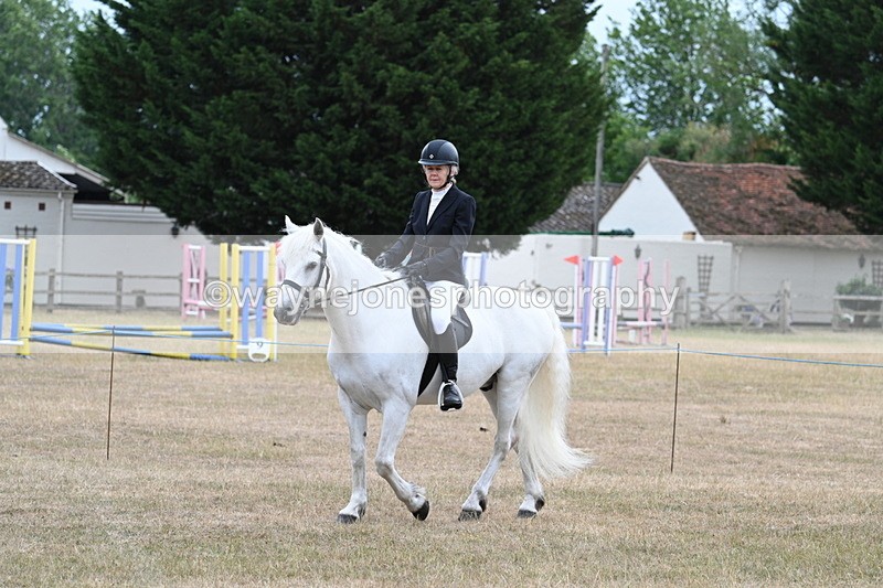 WJ7_0294 - Class 6 Ridden Mountain and Moorland