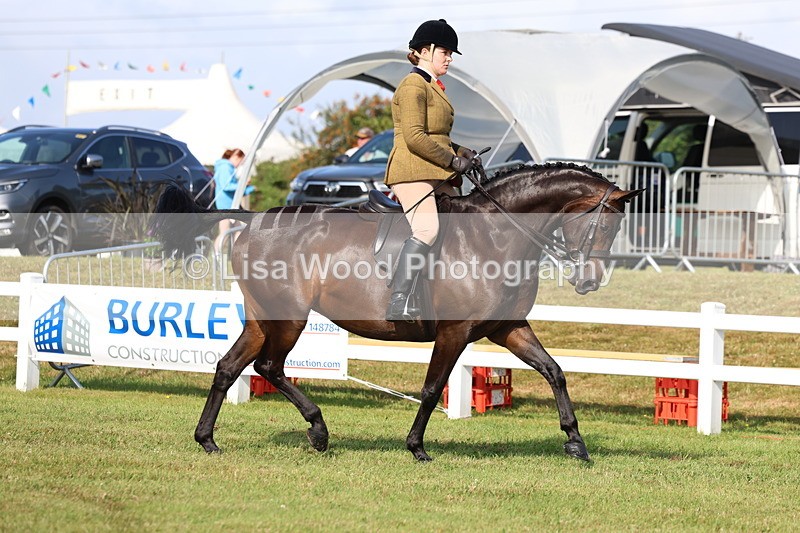 3E7A8492 - Class 3: Rising Star S/L Hunter