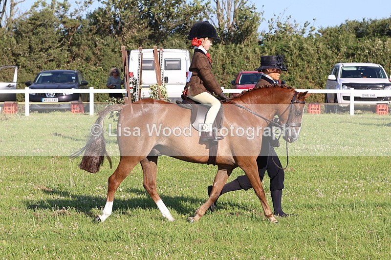JPP_0785 - Class 16: Cornish Combination Leading Rein