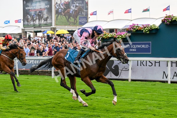 250725-Race 3-Amakhala Warrior-0530 - Race 3 6.38pm Ire-Incentive, It Pays To Buy Irish EBF Restricted Novice Stakes