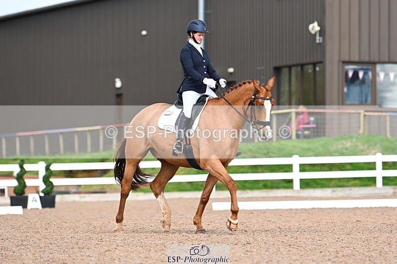 240218A-130259-07394 - 203-Ashley.Edmond-Sir.Suave.II