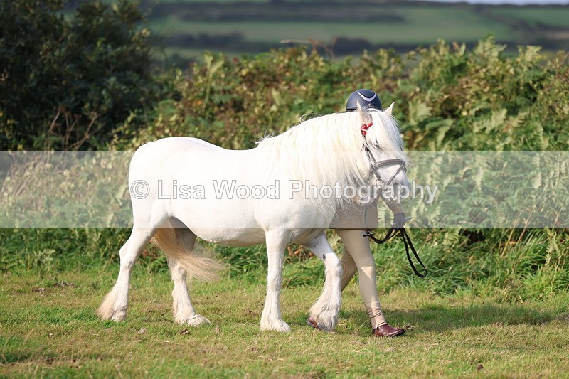3E7A3201 - Class 12: M & M Small Breeds