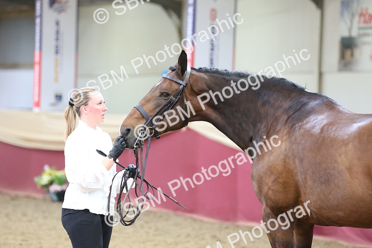 SBM_23321 - Class 903 - Supreme Final - IH Pre Vet