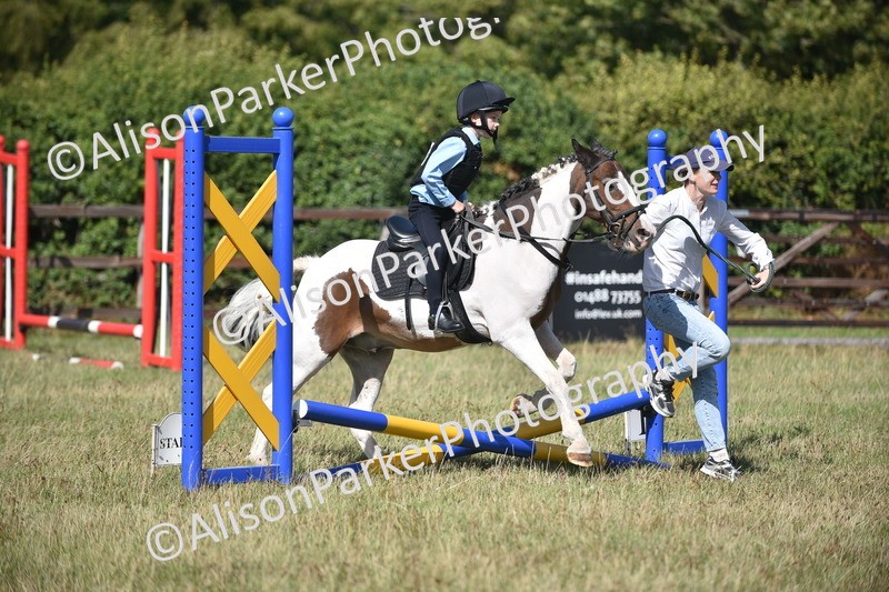 20260906-1406 - Class 8 - Hoof and Foot