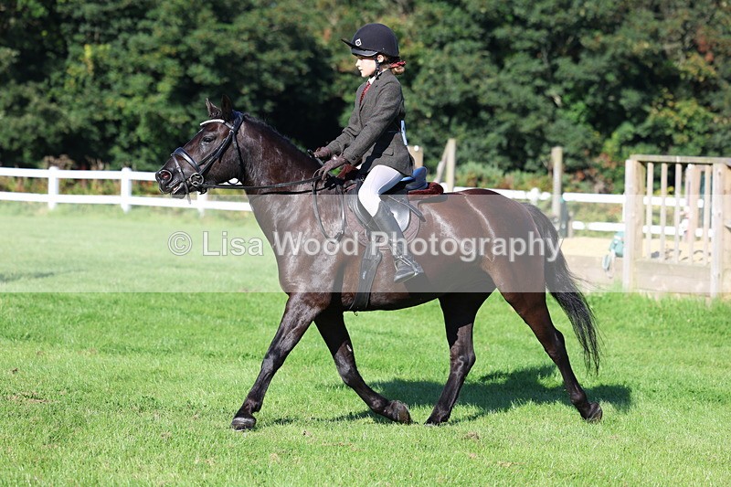 3E7A7640 - Class 1: Novice Working Hunter Pony
