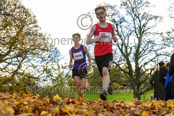 NatRel25-914495 - Young Male Set Two