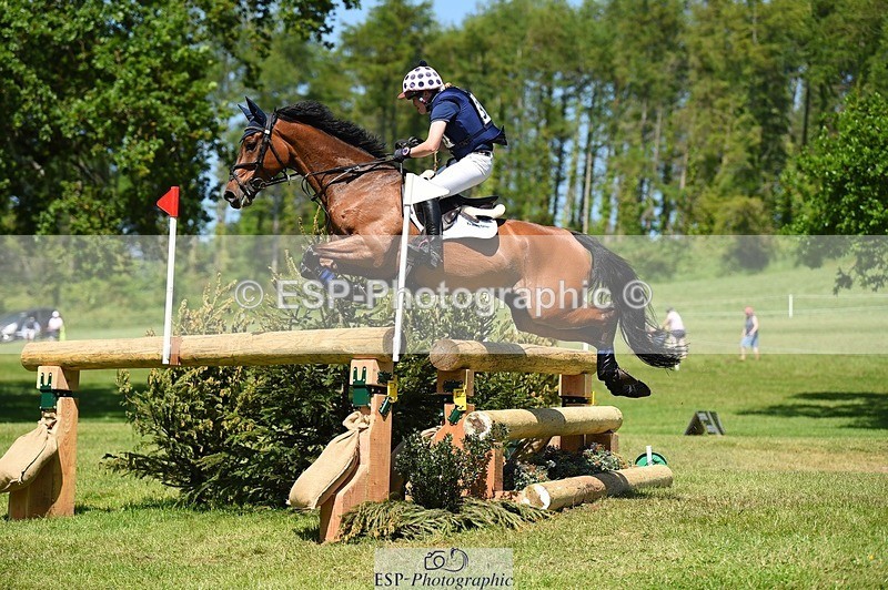 230527-143228-10124 - 329-VINTAGE_GRAFFITI-Alice_Hallows-XC