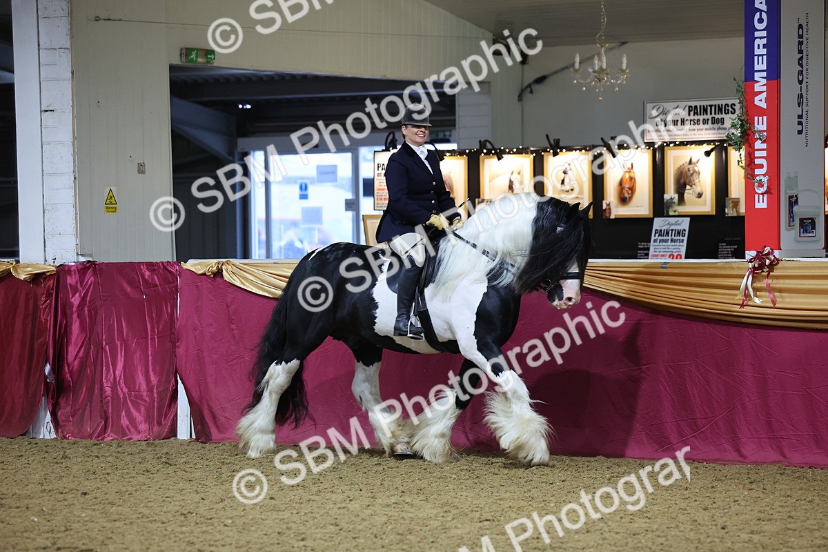 SBM_19204 - Class J Coloured Champ