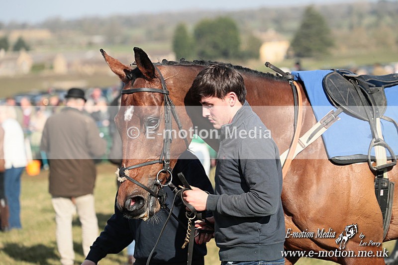 PtP 010325 258 - Beaufort Races Didmarton 01/03/25