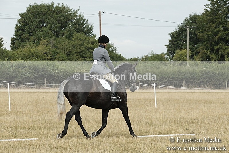 _PJP5623 - Dressage Classes BVRC Show 2018