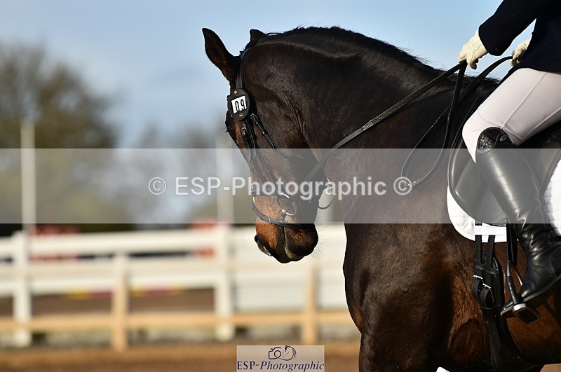 231104A-144504-02150 - Cls 13 Adv Medium 91