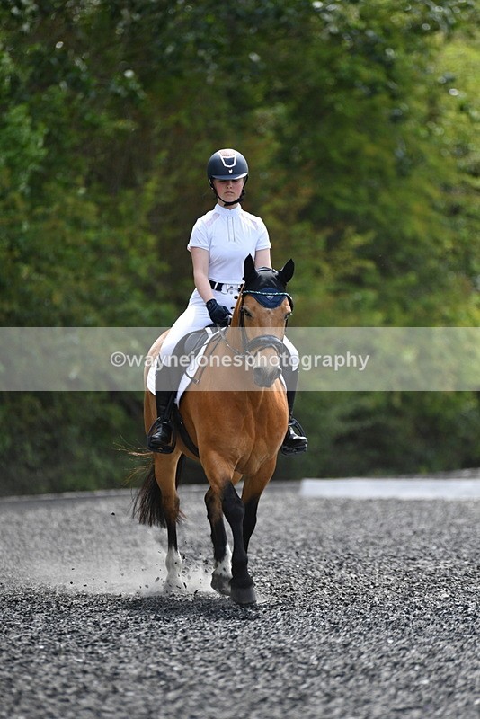 WJ5_0988 - Time 13:45 to 14:20