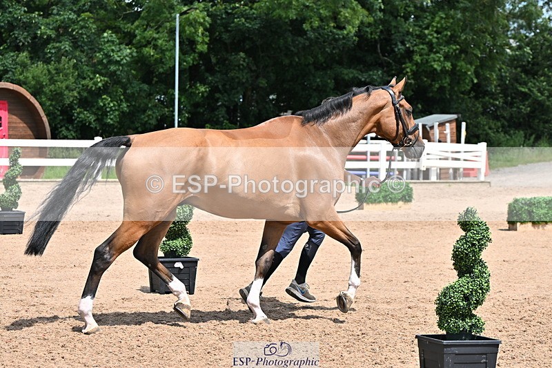 240718A-105305-01540 - Trot Up 1pm to 2pm