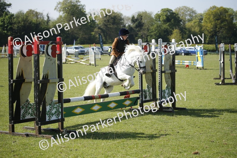 20250427-0430 - Class 12 - Rookie Jumping 40cm