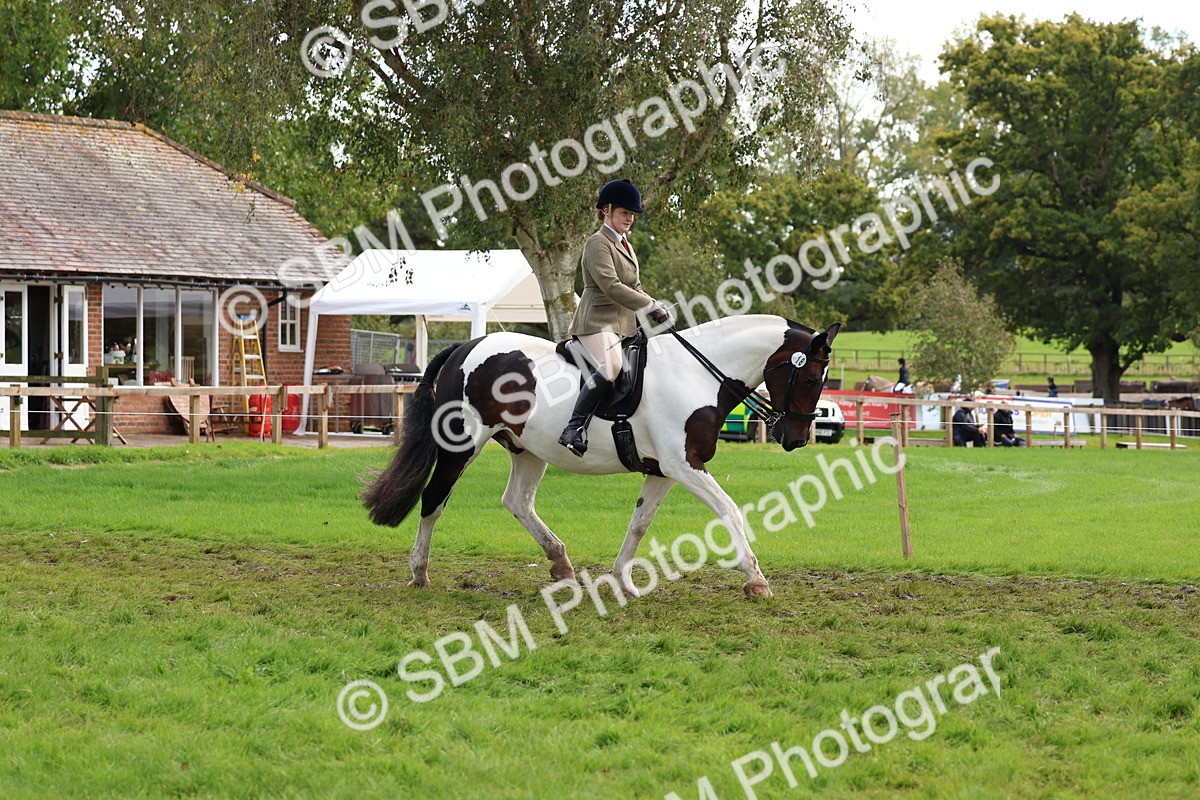 SBM_45196 - S27 - Young Veteran Ridden