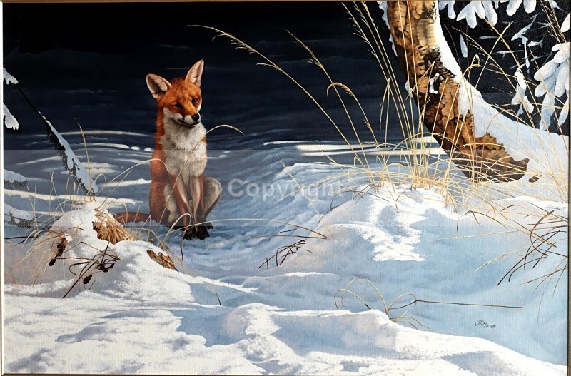 Patience Is A Virtue - Foxes