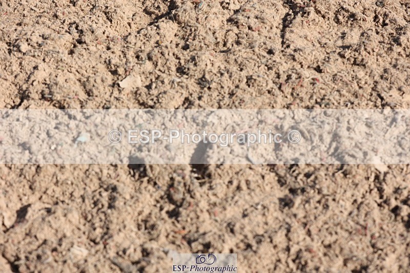 250405-111242-09623 - Cls 23 Young Horse 6 YO Presentations