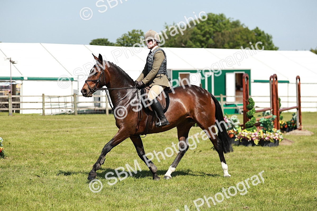 SBM_18342 - Class 112-113 - BSPS LIHS Working Sports Pony