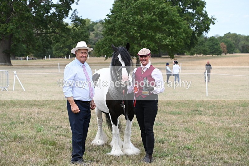 WJ6_5830 - Class 18 In-hand Coloured