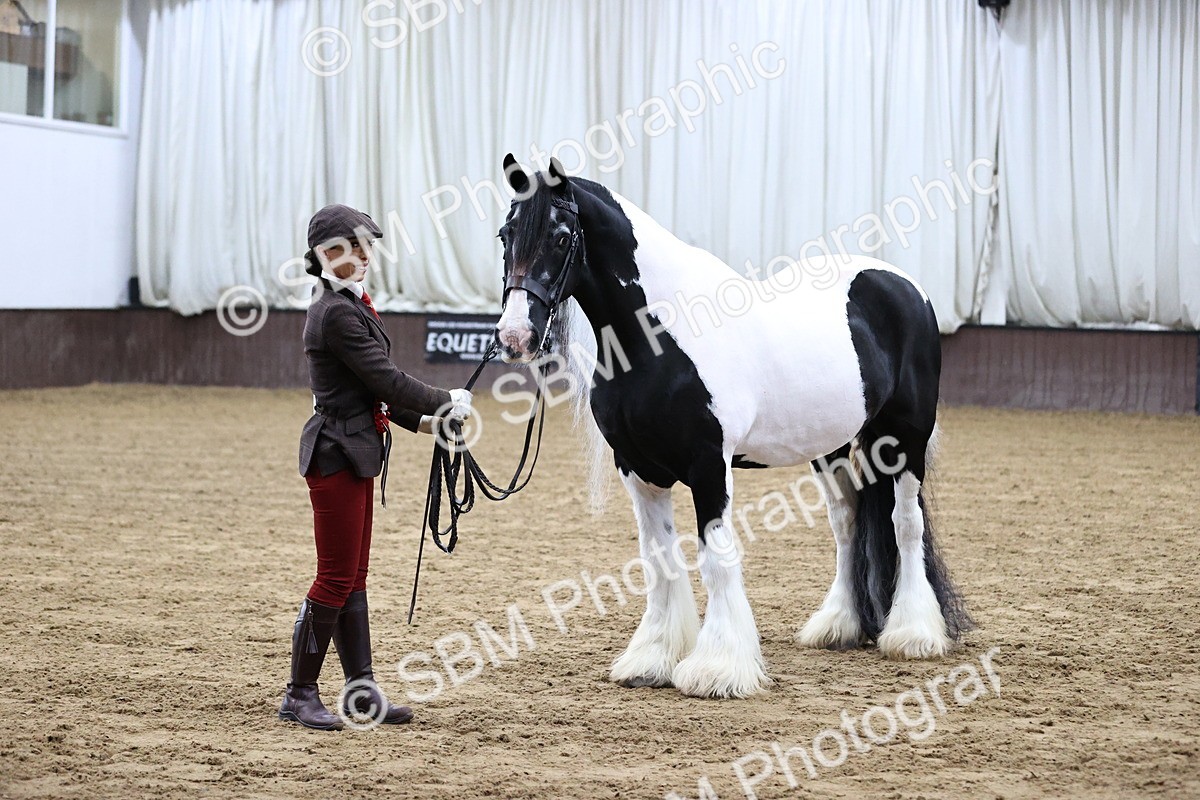 SBM_5686 - Class 40 - RESS In Hand Qualifier